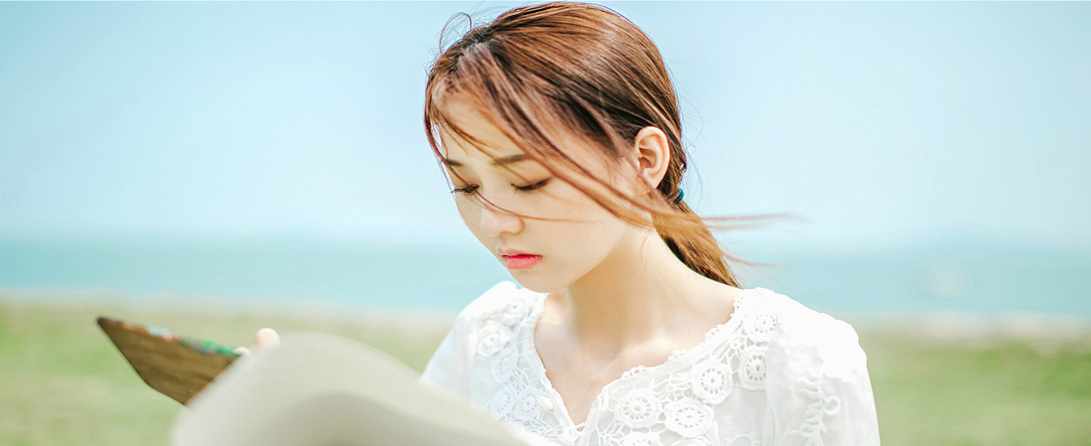 阳春风信子伴游网_阳春伴游